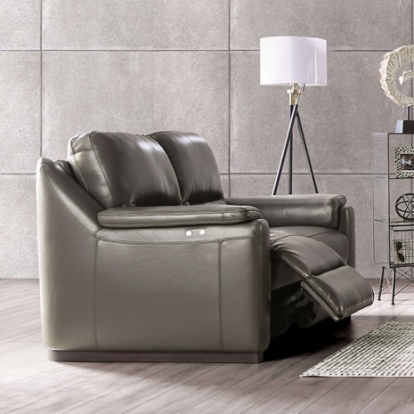 Furniture Of America Altamura Transitional Engineered Wood, Real Italian Leather, Others Gray Power Loveseat | FM90002GY-LV-PM-PK
