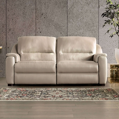 Furniture Of America Altamura Transitional Taupe Power Loveseat Model FM90002TP-LV-PM-PK