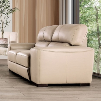 Furniture Of America Marsicano Transitional Engineered Wood, Real Italian Leather, Others Taupe Loveseat | FM90005TP-LV