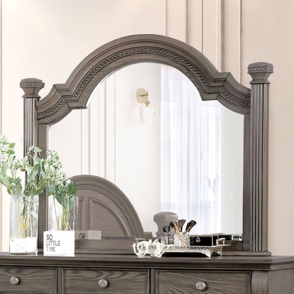 Furniture Of America Pamphilos Traditional Gray Mirror Model FOA7144GY-M