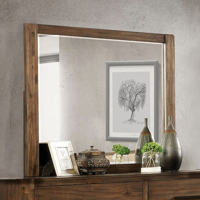Furniture Of America Coney Transitional Walnut Mirror Model FOA7881M