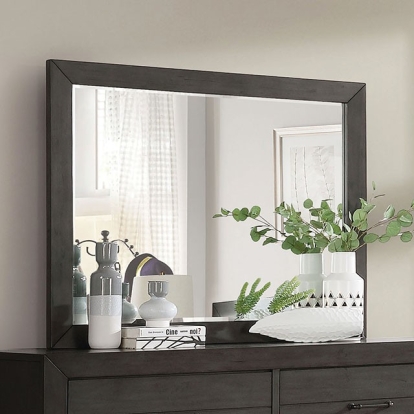 Furniture Of America Sligo Transitional Dark Gray Mirror Model FOA7893M