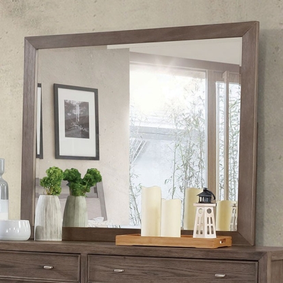 Furniture Of America Tawana Transitional Warm Gray Mirror Model FOA7918M