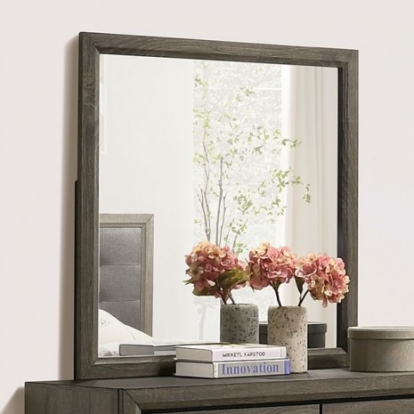 Furniture Of America Roanne Transitional Solid Wood, Wood Veneer, Others Gray Mirror | FOA7927M