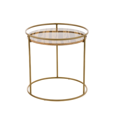 Modrest Gilcrest Glam Brown and Gold Marble End Table Brown End Table 76893 VGODLZ-199E