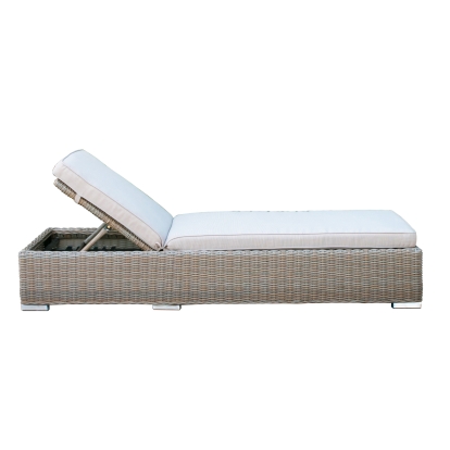 Renava Knox Outdoor Wicker Sunbed Beige Outdoor Sunlounger 72273 VGATRABD-107