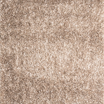 Furniture Of America Annmarie Contemporary Beige 5' X 7' Beige Area Rug Model RG4102