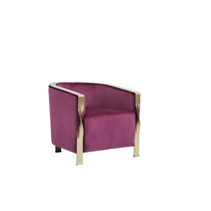 Divani Casa Anthony Modern Pink & Gold Accent Chair Other Lounge Chair 75735 VGZAZCS600-1-PNK