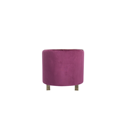 Divani Casa Anthony Modern Pink & Gold Accent Chair Other Lounge Chair 75735 VGZAZCS600-1-PNK